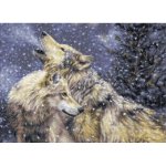 (image for) Snowfall